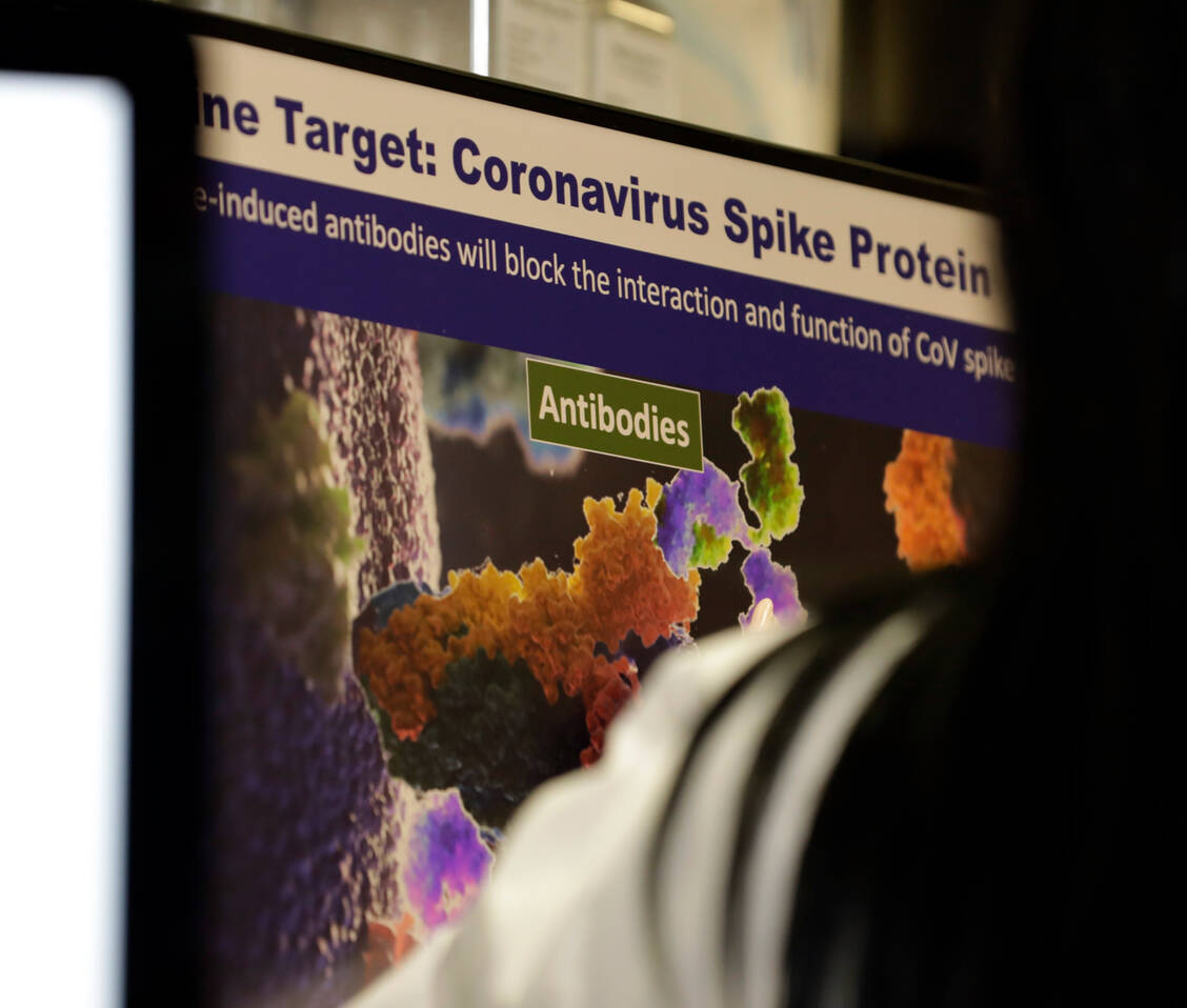 Das Spike-Protein ist der Angriffspunkt verschiedener Covid-19-Antikörper, unter anderem auch von Casirivimab und Imdevimab sowie von Regdanvimab. Alle drei könnten demnächst in der EU zugelassen sein. / Foto: picture alliance / Yuri Gripas/CNP/AdMedia