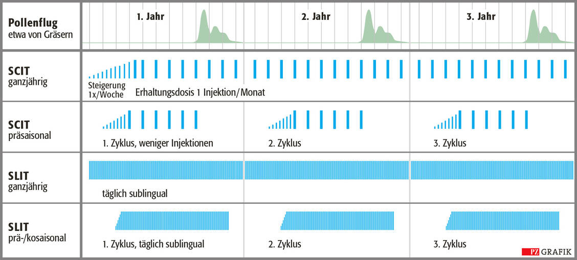 Die Grafik veranschaulicht die häufigsten Varianten der spezifischen Immuntherapie bei saisonaler Allergie etwa durch Gräserpollen. Abkürzungen: SCIT: subkutane Immuntherapie (Einzelstriche: Injektionen); SLIT: sublinguale Immuntherapie (Balken: tägliche Anwendung unter der Zunge). Eine kombinierte prä-/kosaisonale Immuntherapie wird zum Beispiel vier Monate vor und während der Saison häufig als SLIT durchgeführt. Quelle: modifiziert nach Weißbuch Allergie in Deutschland, Klimek, L., Vogelberg, C., Werfel, T., 2018 / Foto: PZ/Stephan Spitzer