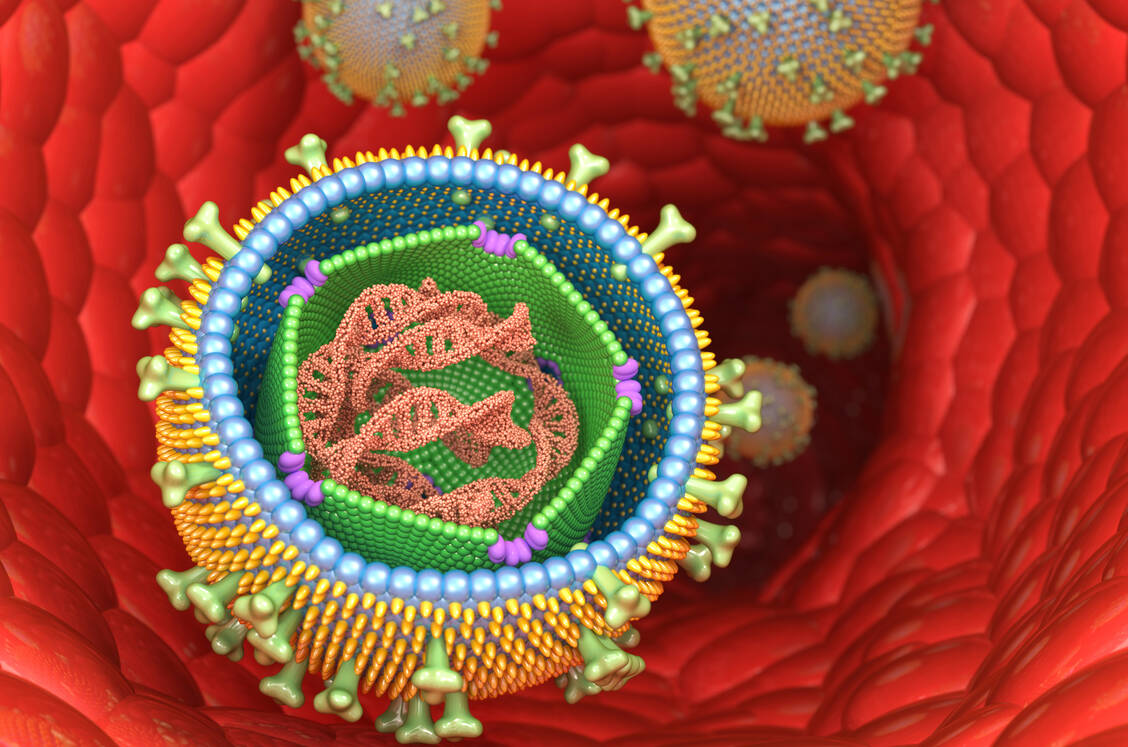 Das Epstein-Barr-Virus bleibt nach der Erstinfektion lebenslang im Körper und kann Lymphome auslösen. Foto: DKFZ