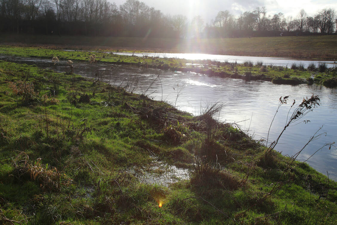 Als Vorsorge gegen Starkregenereignisse dient dieses naturnah gestaltete Regenrueckhaltebecken im Dortmunder Stadtteil Ellinghausen. / Foto: IMAGO/Cord