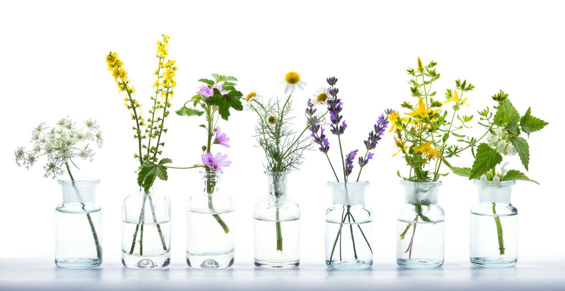 Wissenschaftler befürchten, dass der Klimawandel bei Heilpflanzen womöglich auch zu Änderungen der Inhaltsstoffen führt. / Foto: Adobe Stock/Floydine