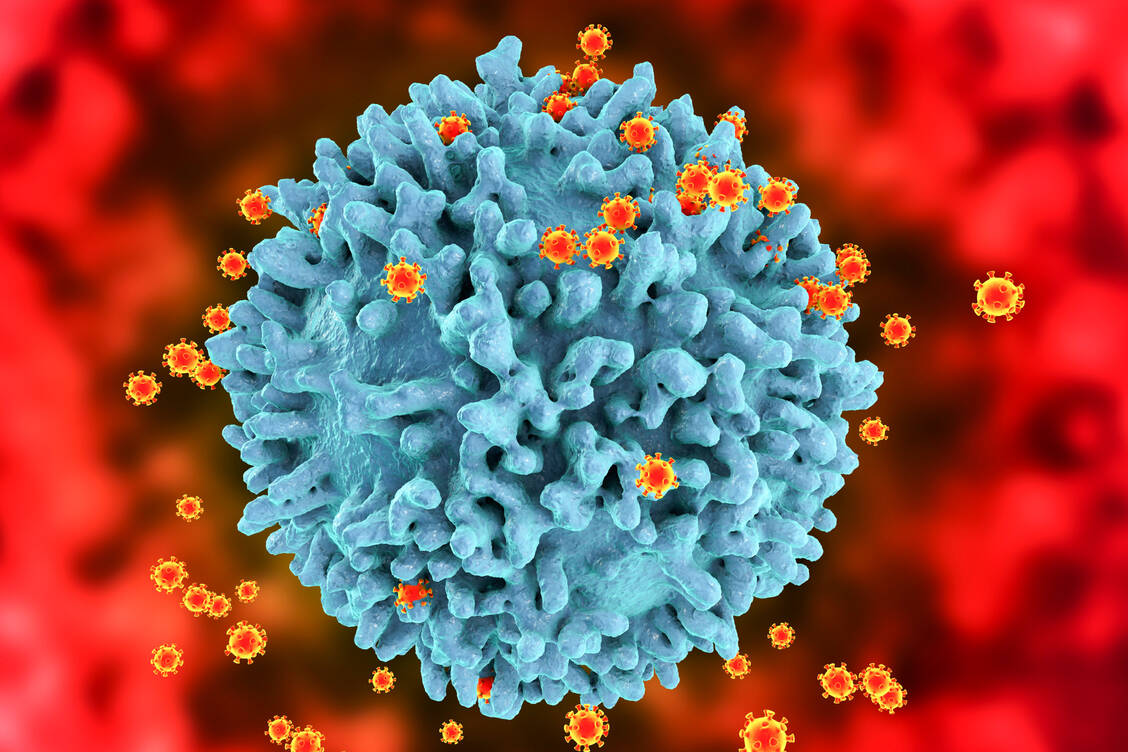 HI-Viren befallen Immunzellen und integrieren ihr eigenes Genom in das Erbgut der Wirtszelle.  / © Getty Images/Kateryna Kon/Science Photo Library
