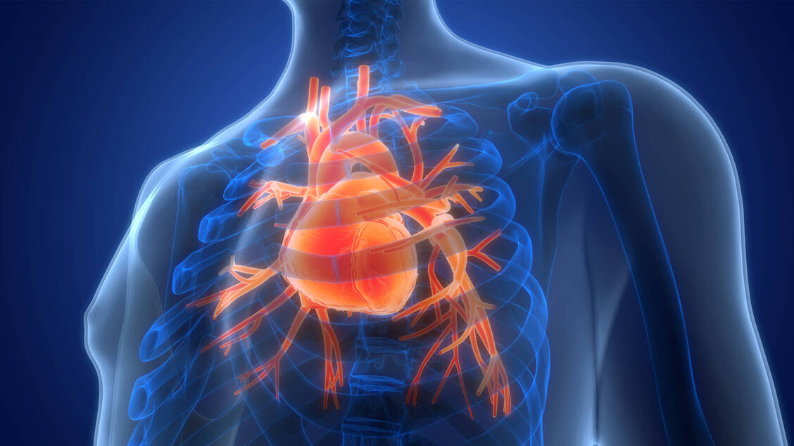 Mehrere europäische Herzspezialisten sollen laut der Recherche Zuwendungen eines Pharmaunternehmens bekommen haben. / © Imago Images/Zoonar