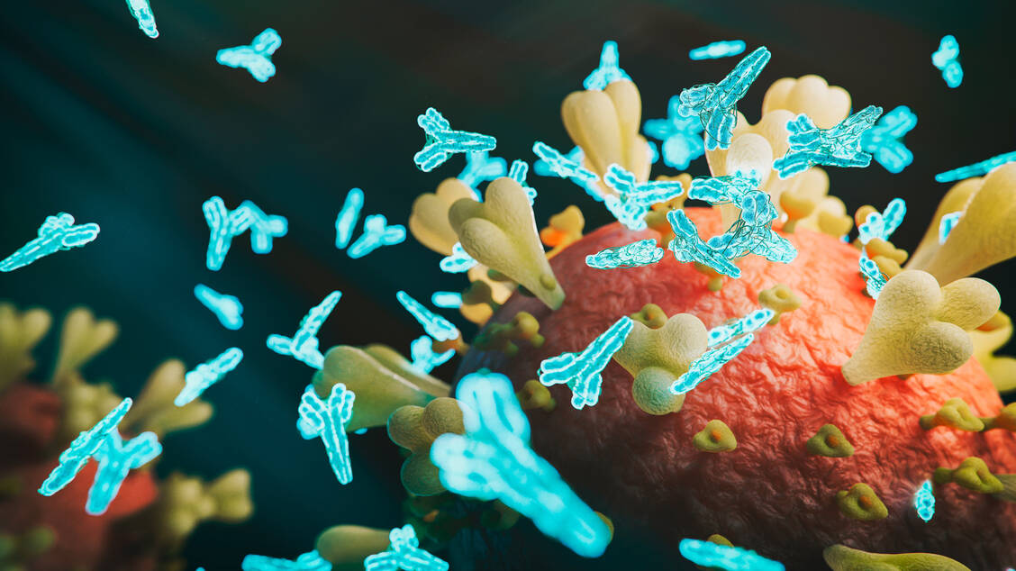 Ein australischer Impfstoffkandidat mit einer Stabilisierungselement aus einem  HIV-Protein ruft auch eine Antikörperantwort gegen dieses Element. Dadurch erhalten die Geimpften falsch-positive Ergebnisse in HIV-Tests.  / Foto: Getty Images/koto_feja