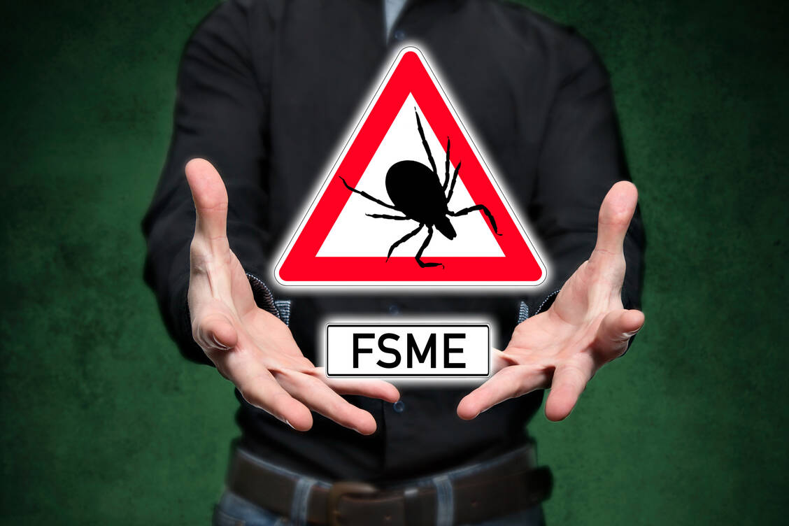 Die Grundimmunisierung gegen FSME erfordert drei Impfdosen – die Terminierung sollte angesichts der anstehenden Covid-19-Impfungen genau geplant werden. / Foto: Getty Images/fotoquique