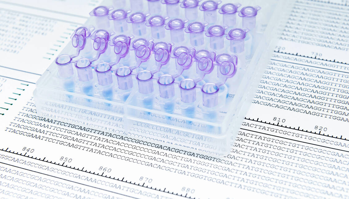 Für die Diagnose eines Morbus Pompe muss der Gendefekt eindeutig nachgewiesen werden. Dann kann das mangelnde Enzym therapeutisch ersetzt werden. / Foto: Getty Images/unoL