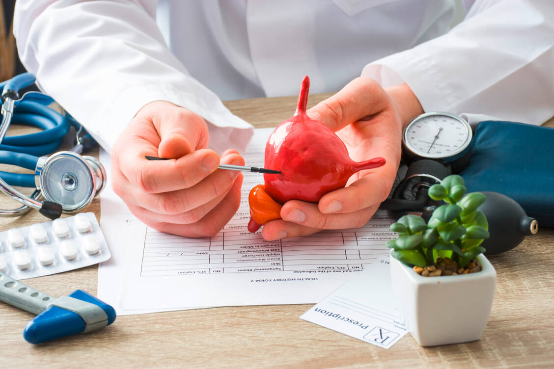Urothelkarzinome machen rund 90 Prozent aller Blasenkrebserkrankungen aus. Sie können aber zum Beispiel auch in der Niere auftreten.  / Foto: Adobe Stock/Ivan Shidlovski