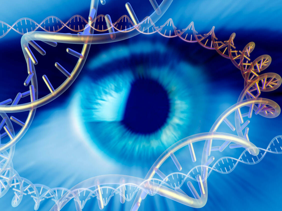 Bei der erblichen Form des Retinoblastoms lässt sich das defekte Gen mittels einer Blutanalyse nachweisen. Denn auch Geschwister könnten dann betroffen sein.  / Foto: Getty Images/PASIEKA/SPL