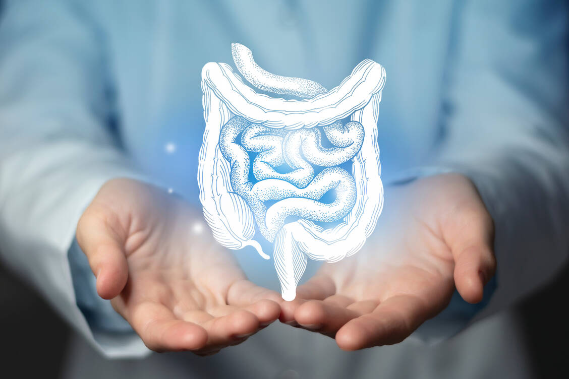 Chronisch-entzündliche Darmerkrankungen manifestierten sich häufig, aber nicht immer, zwischen dem 15. und 40. Lebensjahr, erklärte Professor Dr. Weinke beim Pharmacon in Schladming.  / Foto: Adobe Stock/mi_viri