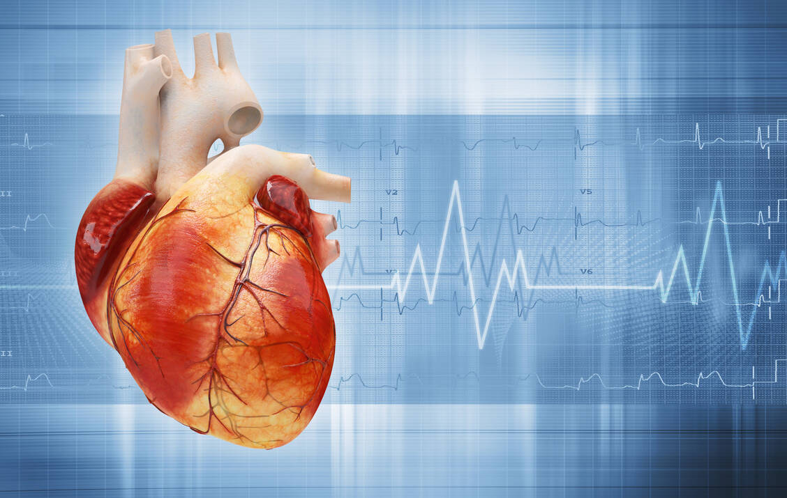 Patienten mit Herz-Kreislauf-Erkrankungen haben ein höheres Risiko  für einen schweren Verlauf einer Covid-19-Infektion.  / Foto: ©adimas - stock.adobe.com