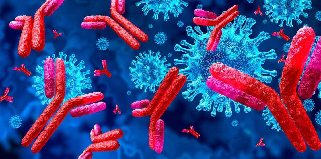 Mit Rituximab und Ocrelizumab sind bereits Anti-CD20-Antikörper zur MS-Behandlung auf dem Markt. Ofatumumab dockt aber an anderen Epitopen an. / Foto: Adobe Stock/freshidea