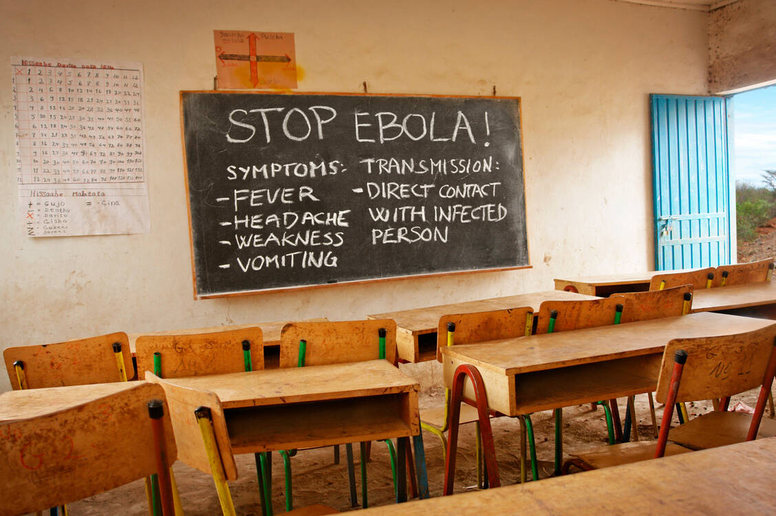 Scheinbar wird der aktuelle Ebola-Ausbruch nicht von dem am häufigsten vorkommenden Stamm, dem Zaire-Ebolavirus, verursacht. / © Getty Images/narvikk