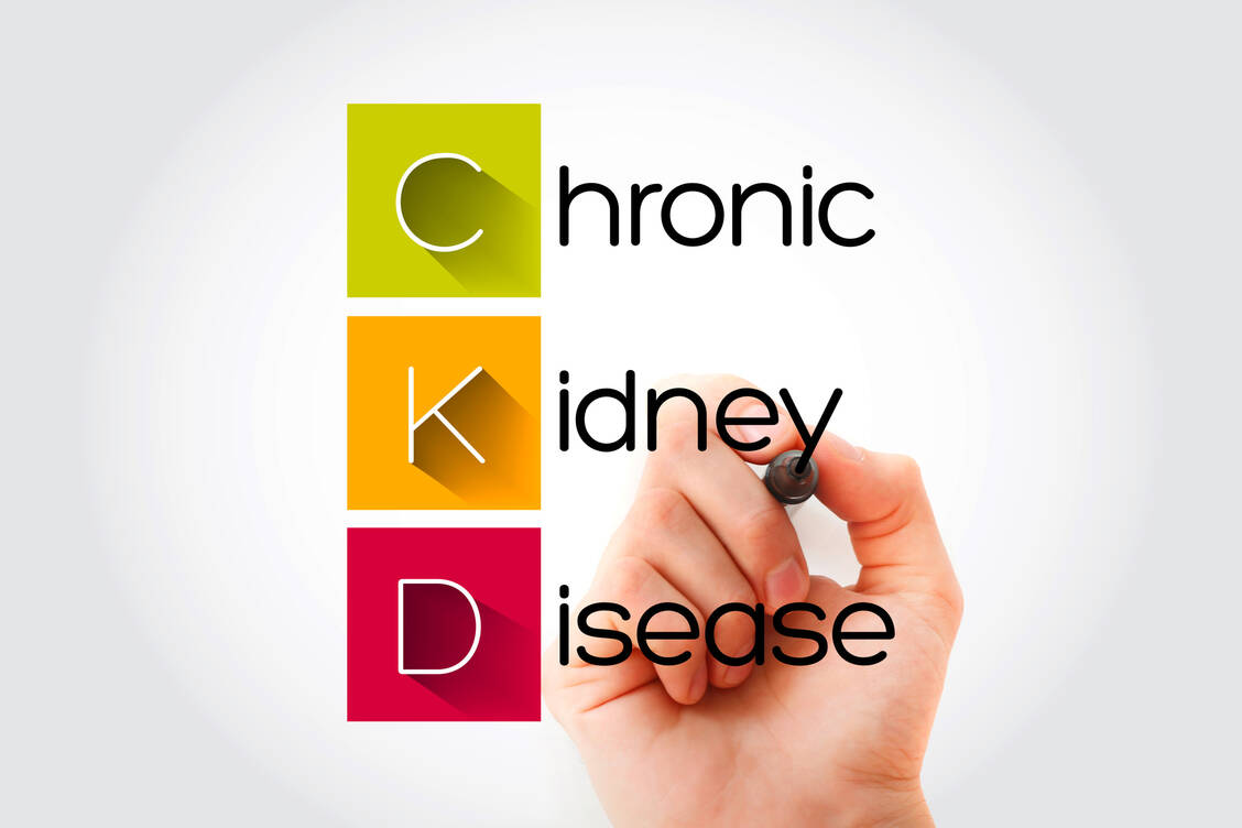 Die chronische Nierenerkrankung (Chronic Kidney Disease, CKD) ist eine häufige Komplikation bei Diabetes und zugleich ein unabhängiger Risikofaktor für Herz-Kreislauf-Erkrankungen. / Foto: Adobe Stock/dizain