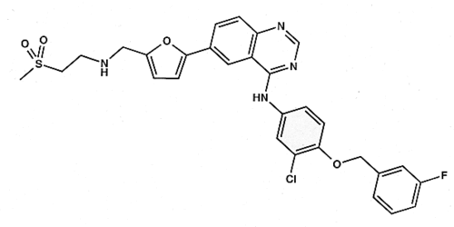 Lapatinib