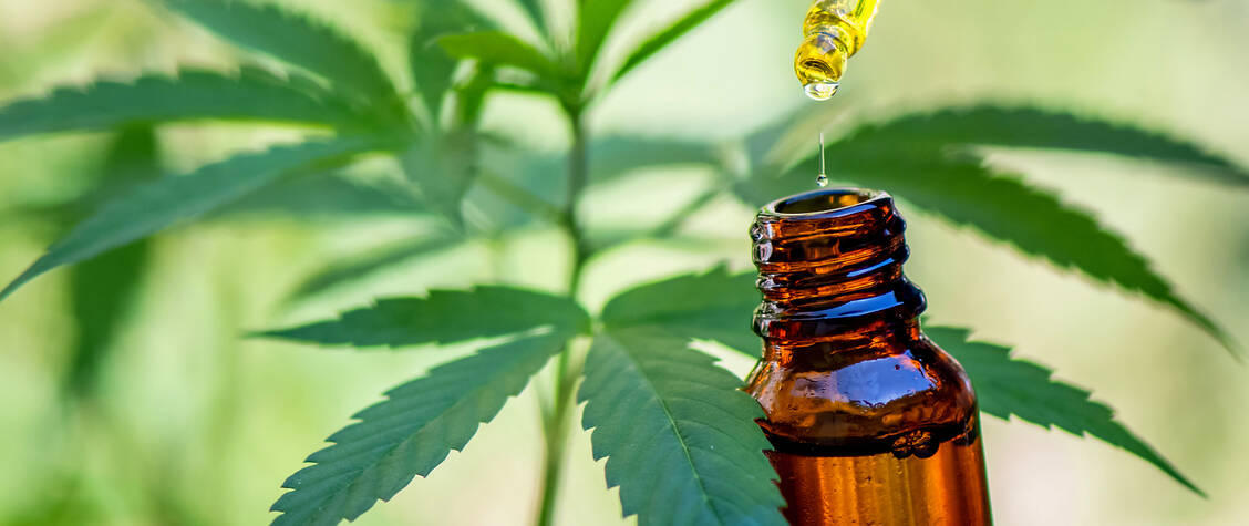 Auf Cannabis-Arzneimittel hoffen viele Patienten. Standardisierte Arzneimittel erlauben eine exakte Dosierung der wirksamen Inhaltsstoffe.  / © Adobe Stock/EKKAPON
