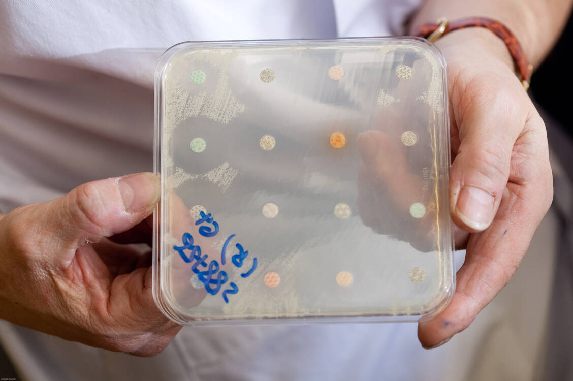 Auch aus In-vitro-Daten kann man prinzipiell einen Zusatznutzen für ein neues Antibiotikum ableiten, allerdings nicht im Fall von Zerbaxa. / Foto: Your_Photo_Today