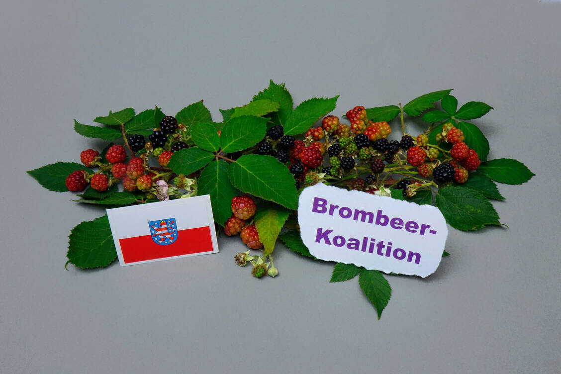 In den Sondierungsgesprächen zwischen CDU, BSW und der SPD in Thüringen wurde auch eine  Landapothekerquote thematisiert. / © IMAGO/Steinach