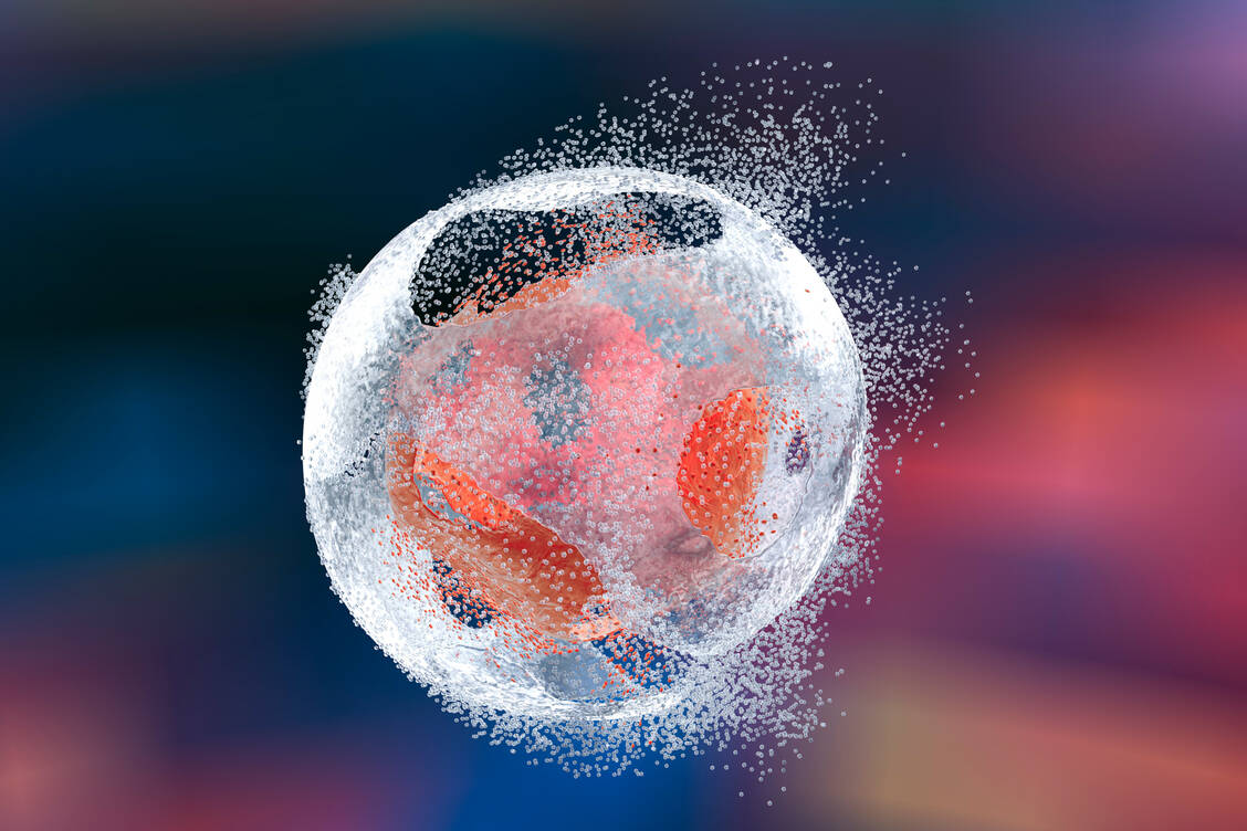 Isatuximab ist ein weiterer Antikörper, der sich gegen das CD38-Antigen richtet und so die Apoptose von Krebszellen einleiten kann. / Foto: Getty Images/Kataryna Kon