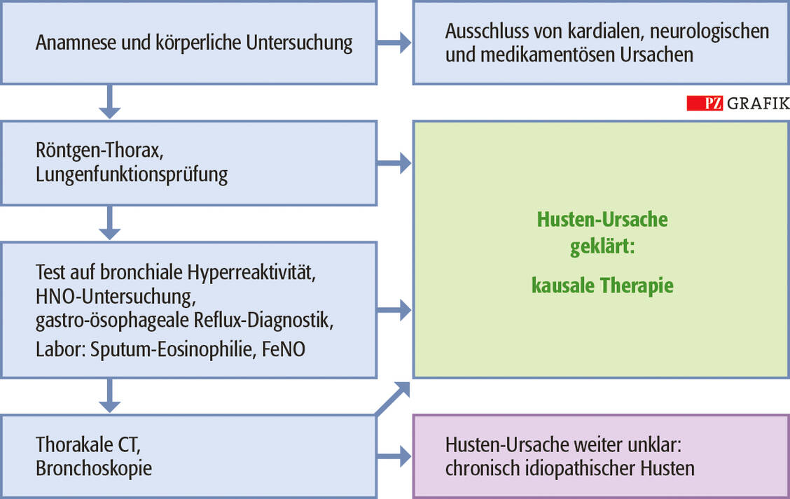 Grafik: Diagnostik bei chronischem Husten; nach (2)