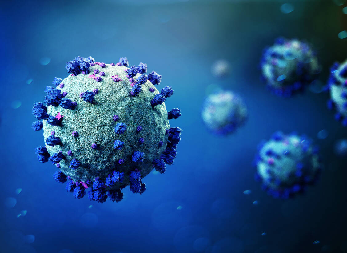 Das Coronavirus entwickelt sich rasch fort: Derzeit ist die Omikron-Sublinie BA.5 in Deutschland dominant. / Foto: Adobe Stock/Production Perig