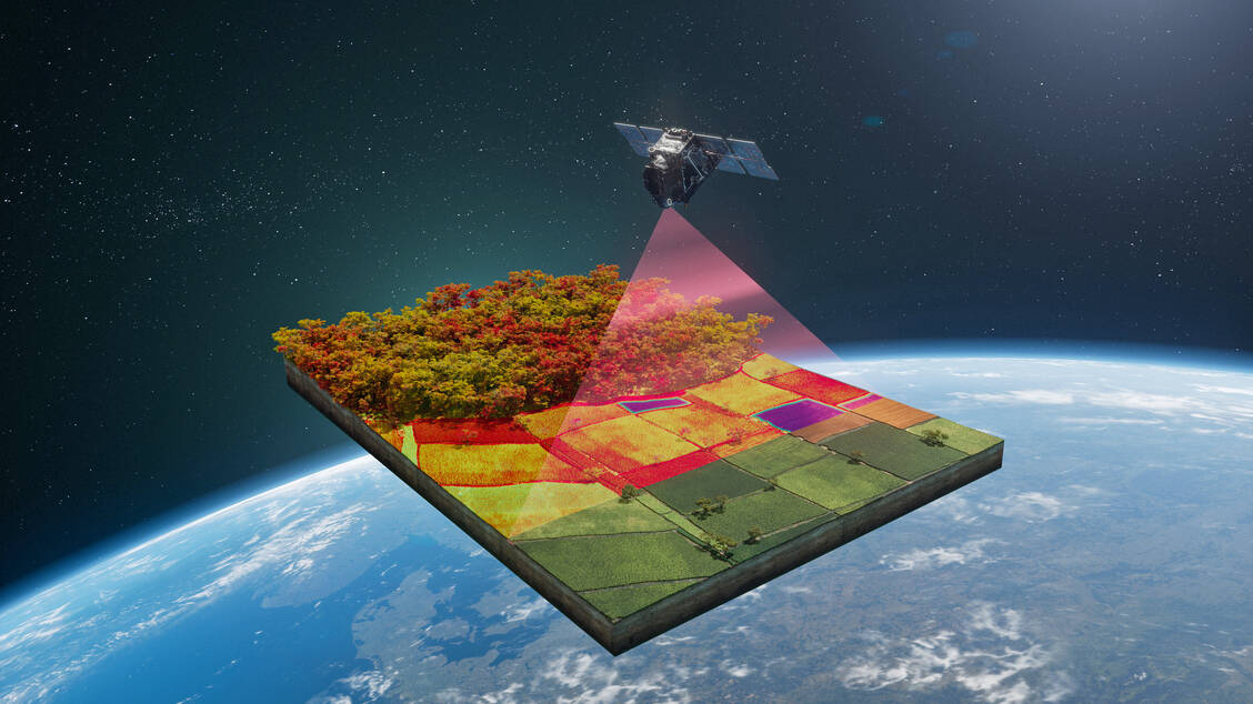 Pflanzen senden Signale – ein Spektrometer im All liest sie aus. / © ESA/ATG medialab