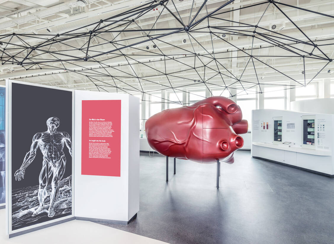 Die Ausstellung  »Gesundheit« ist eine von 19 neuen Präsentationen, die seit Juli 2022 auf circa 20 000 Quadratmetern im Deutschen Museum zu sehen sind. / Foto: Foto: Deutsches Museum, München, R. Krause, H. Czech