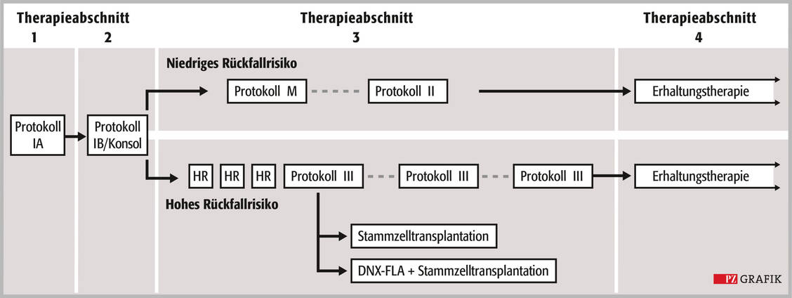 Abbildung 1: Therapieüberblick für eine Form der ALL nach dem AIEOP-BFM-ALL-Studienprotokoll (Universitätsklinikum Schleswig-Holstein, Stand 7. Juli 2025); DNX-FLA: Daunorubicin, Fludarabin, Hochdosis-Cytarabin, HR: Hochrisiko / © PZ/Stephan Spitzer