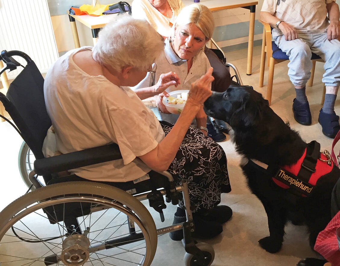 Ein ausgebildeter Therapiehund unterstützt eine Gruppentherapie bei Senioren. Einen anderen Job haben Assistenztiere wie Blindenführhunde. / Foto: Therapiehunde Deutschland/Smentek