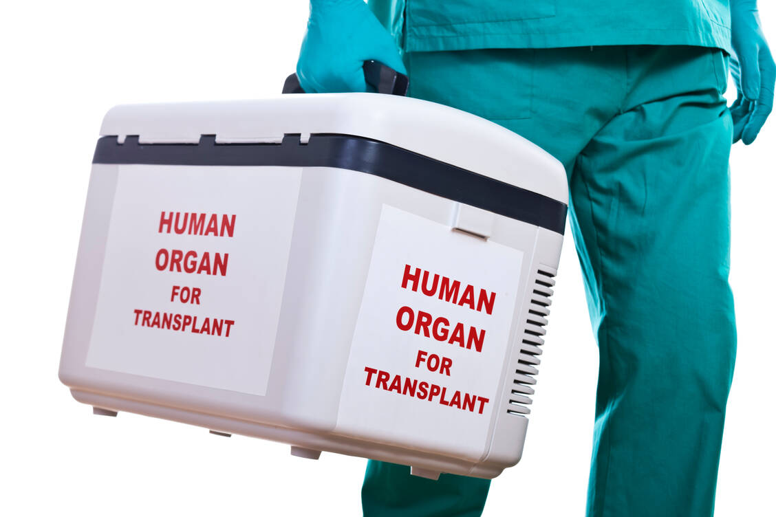 Ein menschliches Herz muss innerhalb von vier Stunden transplantiert werden. Bei einer Nierentransplantation bleibt etwas mehr Zeit. / Foto: Getty Images/uchar