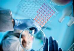 Die Biomedizin ist ein spannendes Forschungsfeld, das in vielen Indikationen neue Therapieoptionen eröffnet.
<p class="fotonachweis">Foto: iStock/Nicolas_</p>