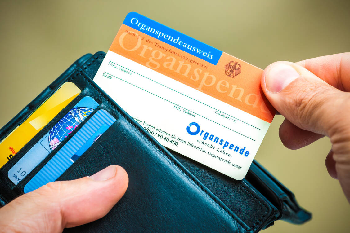Ein kleiner Ausweis mit großer Wirkung: Die Entscheidung zur Organspende sollte dokumentiert sein. / © Adobe Stock/Alexander Raths
