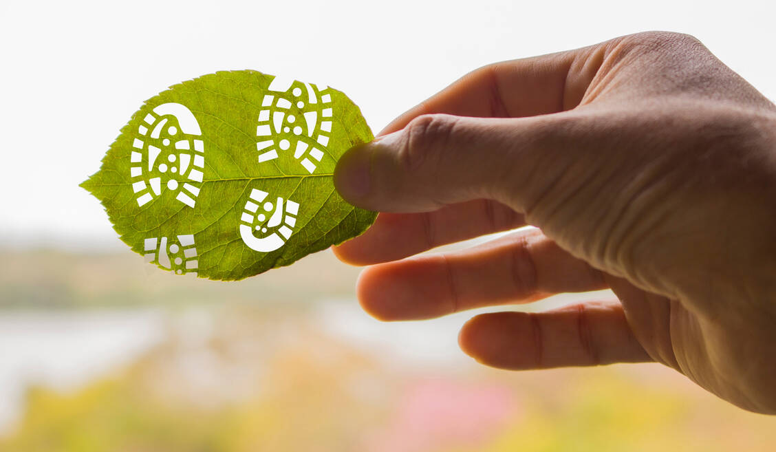 Die CO<sub>2</sub>-Emissionen zu verringern, ist ein Hauptbaustein zur Verbesserung des ökologischen Fußabdrucks. / Foto: Adobe Stock/Juan Manuel Resquin