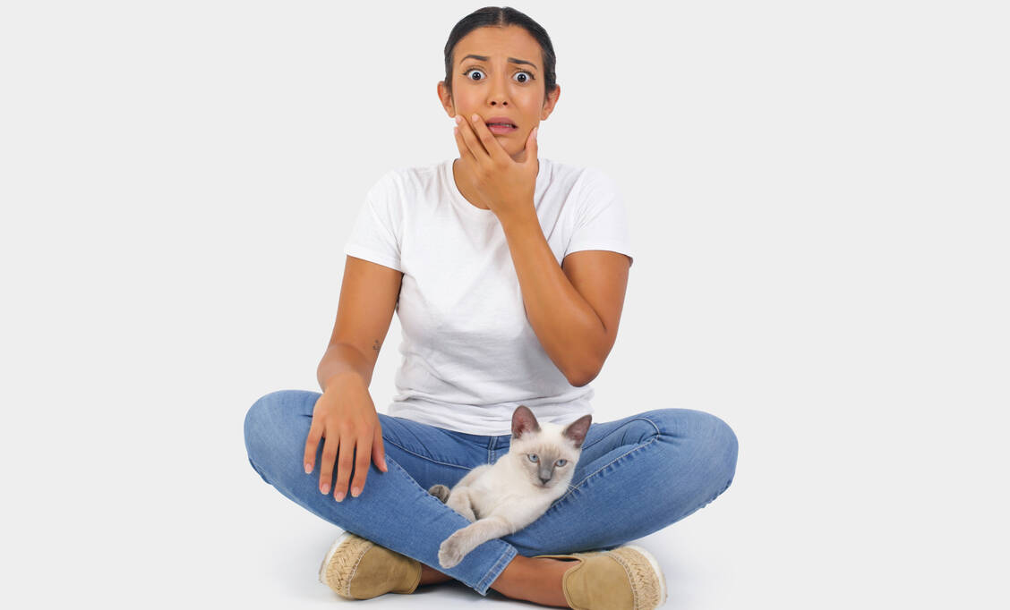 Sich immer wieder einer angstbesetzten Situation, hier mit einer Katze, auszusetzen, erfordert viel Überwindung und Mut. Auch virtuelle Expositionstherapien werden mit Erfolg eingesetzt. / © Shutterstock/Jihan Nafiaa Zahri