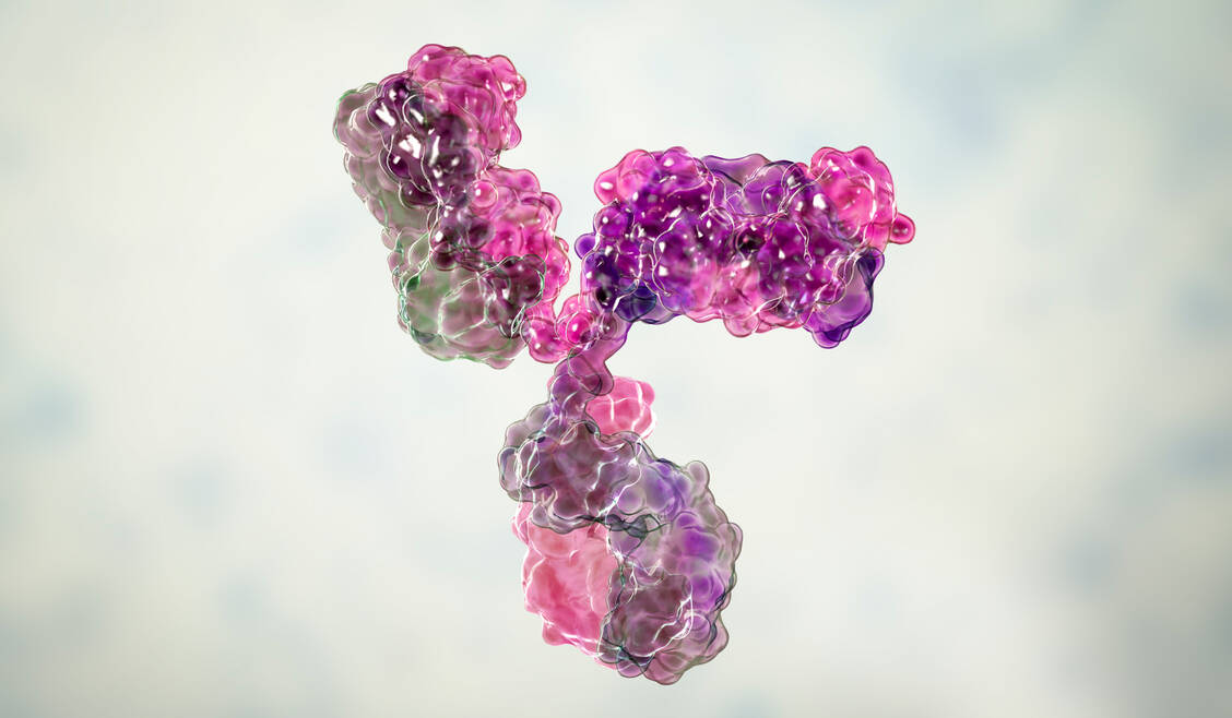Der Antikörper Spesolimab blockiert den Interleukin-36-Rezeptor, dessen Aktivierung  in der Pathogenese der generalisierten pustulösen Psoriasis eine entscheidende Rolle spielt.  / Foto: Getty Images/Kateryna Kon/Science Photo Library