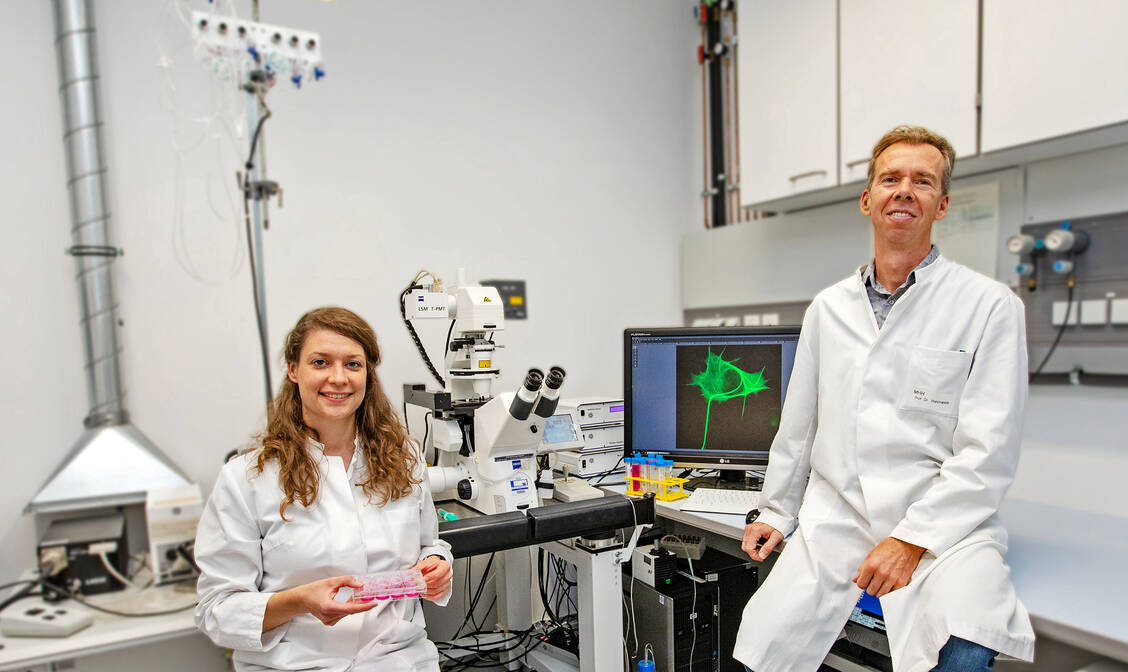 Setzen auf das Antipsychotikum Amisulprid im Kampf gegen Demenzen: Professor Dr. Evgeni Ponimaskin und Dr. Josephine Labus vom MHH-Institut für Neurophysiologie / Foto: KARIN KAISER MHH