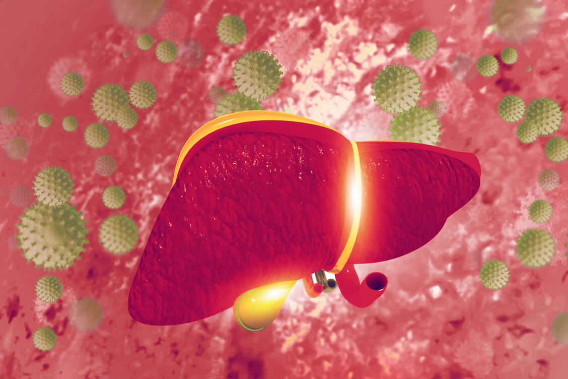 Einige Covid-19-Patienten verstarben an Leberversagen. Das unterstreicht, dass Patienten mit Vorerkrankungen der Leber wie Hepatitis zu den Risikopatienten zählen. / Foto: Adobe Stock/Crystal light