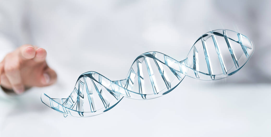 Kurze synthetische einzelsträngige Oligonukleotide sollen die mRNA des Huntingtin-Gens abfangen und damit die Bildung des schadhaften Proteins verhindern. / Foto: Adobe Stock/vegefox.com