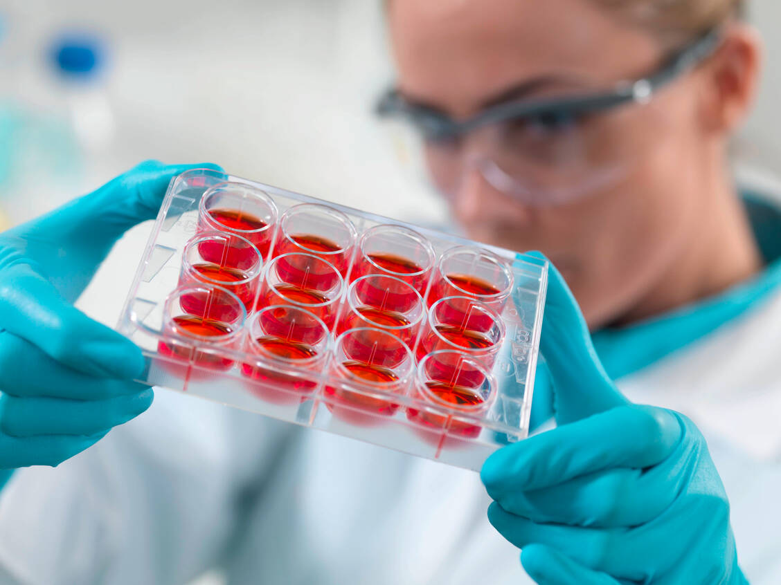 In Deutschland wird geforscht und entwickelt. Insgesamt 3,13 Prozent seiner Wirtschaftsleistung hat Deutschland laut  einer Untersuchung des Stifterverbands im Jahr 2018 in Forschung und Entwicklung investiert.  / Foto: Imago/Science Photo Library