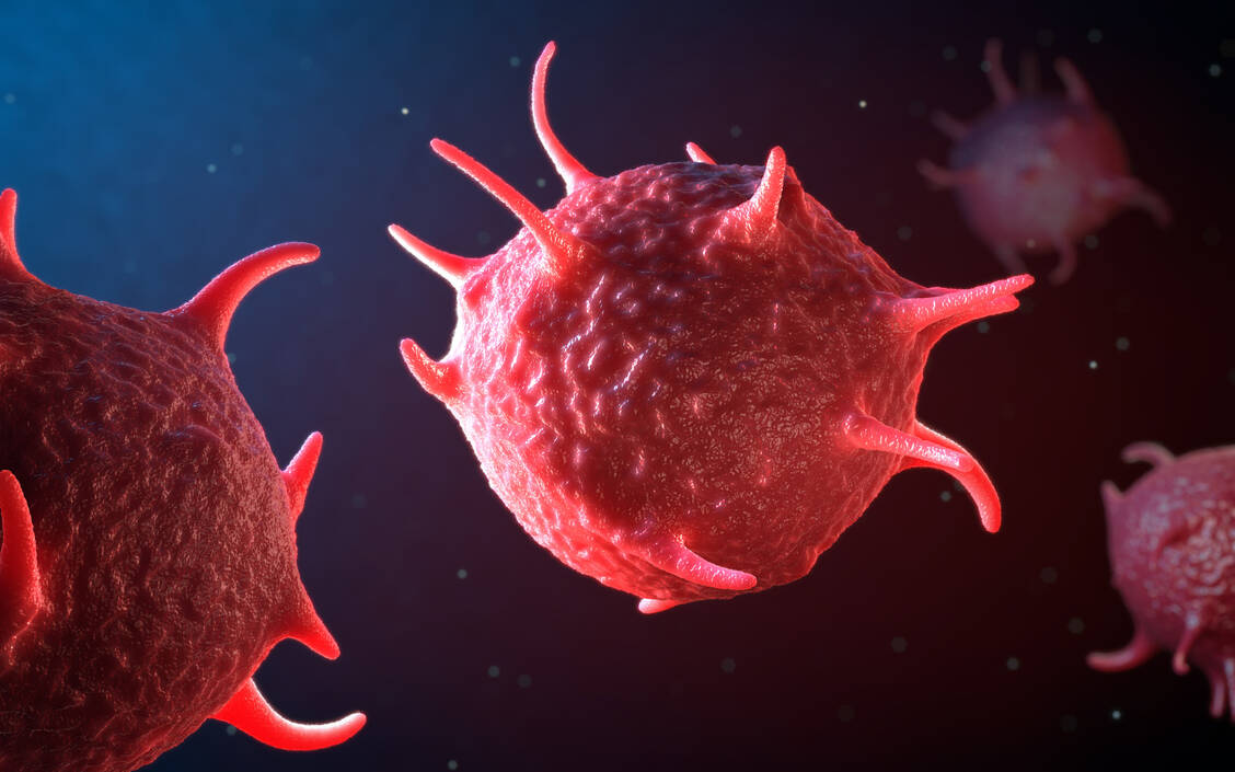 Bei der Immunthrombozytopenie richten sich Autoantikörper gegen die Thrombozyten. Es kommt zur Thrombozytopenie. Damit haben Betroffene ein erhöhtes Risiko für Blutungen. / Foto: Adobe Stock/ Christoph Burgstedt