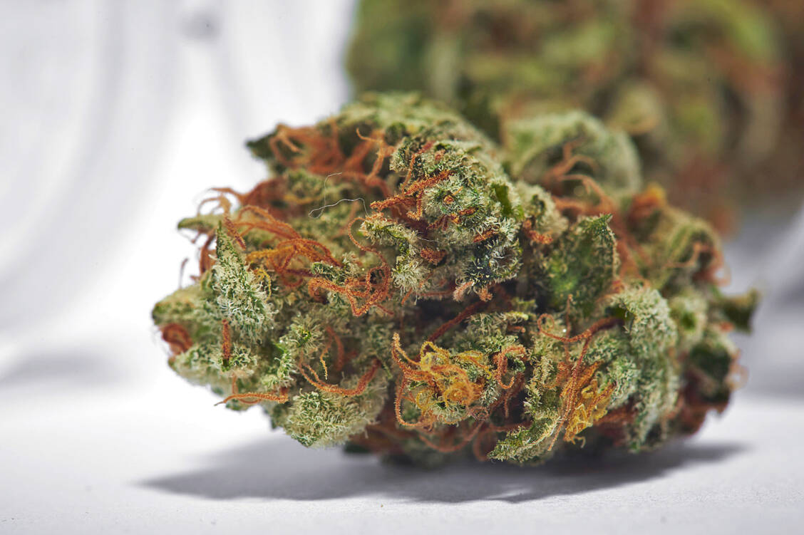 Medizinisch verwendet werden die getrockneten Blüten von Cannabis sativa. Sie enthalten viele verschiedene Cannabinoide. / Foto: Fotolia/Michael