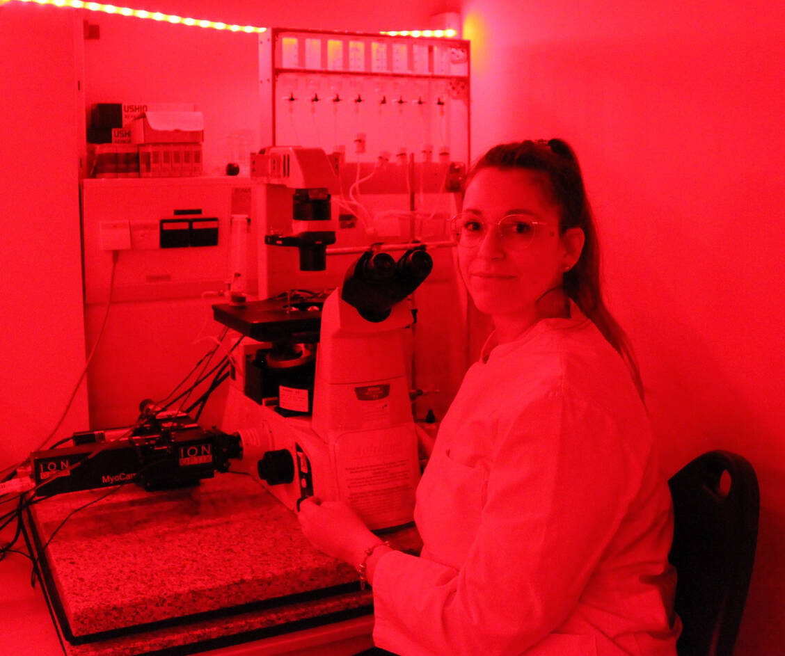 Cellini bei ihrer Haupttätigkeit am sogenannten »IonOptix«. Je nach Farbstoff können damit Ionenkonzentrationen in Zellen nachgewiesen werden. / Foto: Kirstin Linkamp