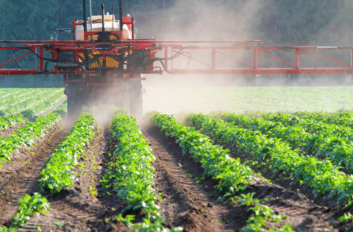 Glyphosathaltige Unkrautvernichter dürfen in Kalifornien laut Gerichtsurteil verkauft werden, ohne dass auf den Produkten auf mögliche Krebsrisiken hingewiesen werden muss. / Foto: Fotolia/Kara