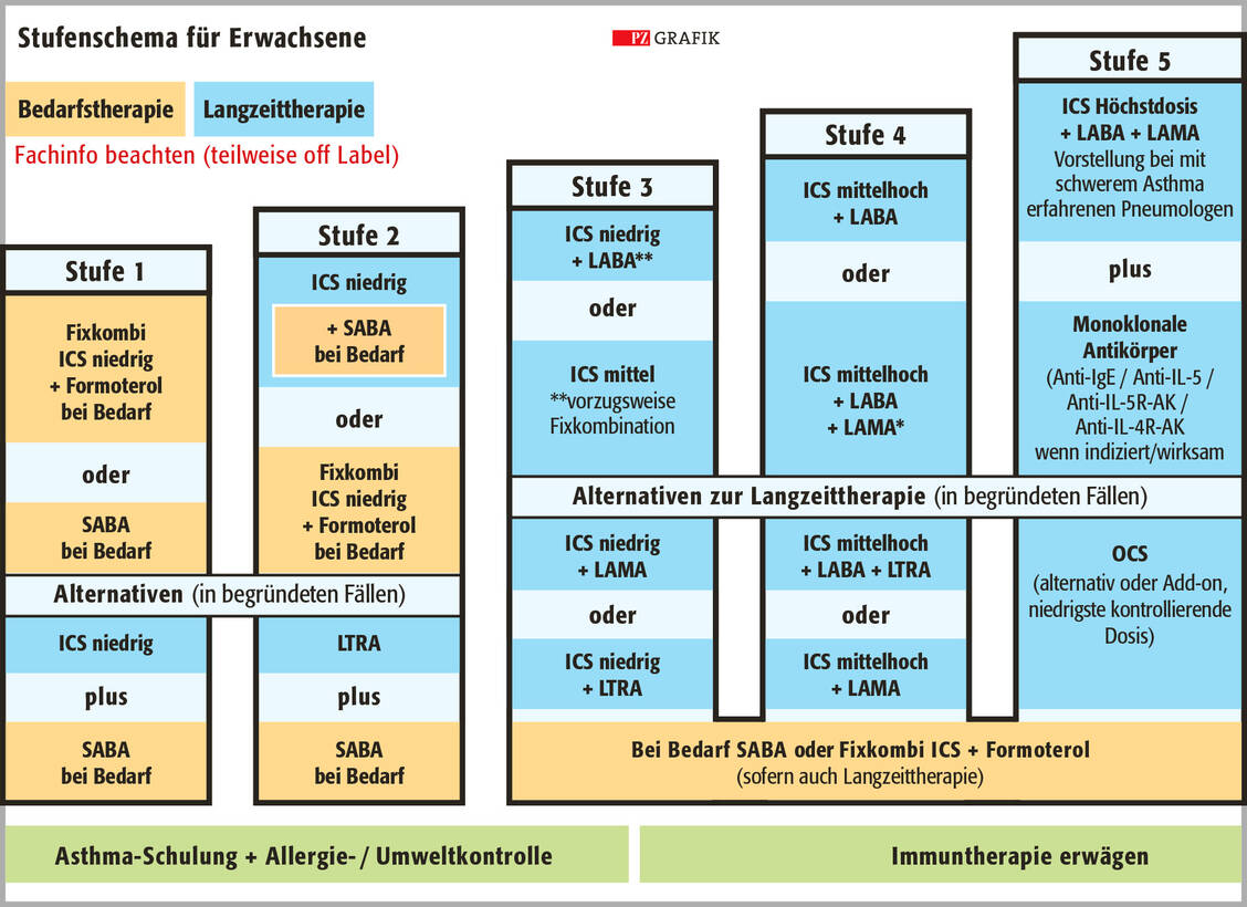 Abbildung 2: Stufenschema der Asthmatherapie für Erwachsene; nach NVL 2020 (1). SABA, LABA: kurz-/langwirksame Beta-Sympathomimetika; LAMA: langwirksame M-Cholinozeptorenblocker wie Tiotropiumbromid und andere; ICS, OCS: inhalative/orale Corticosteroide; LTRA: Leukotrien-Rezeptor-Antagonisten (Montelukast) / Foto: PZ/Stephan Spitzer