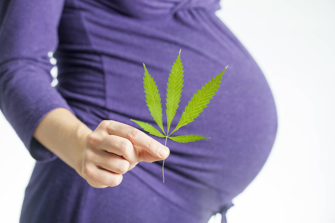Wenn Schwangere kiffen, gelangen nicht nur Nikotin und andere Schadstoffe bis zum Baby – auch Cannabinoide können die Plazentarschranke überwinden. / Foto: Adobe Stock/Elroi