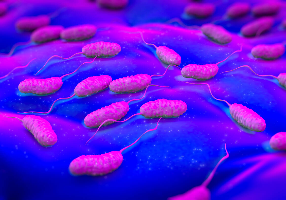 Vibrio cholerae ist ein gramnegatives Bakterium. Es sieht unter dem Mikroskop leicht gekrümmt aus und hat eine Geißel. / Foto: Getty Images/Science Photo Library/RoyaltyStockPhoto