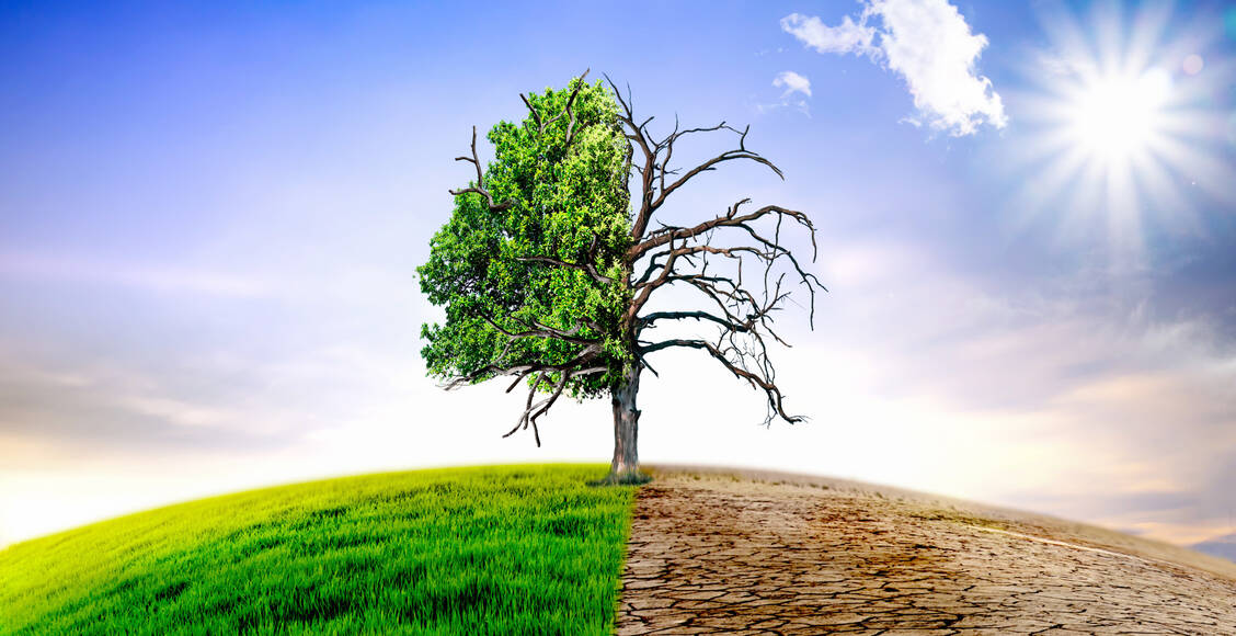 Die Klima- und Umweltkrise betrifft nicht nur das Wetter oder die Wälder, sondern auch die Gesundheit der Menschen. / Foto: Adobe Stock/jozsitoeroe