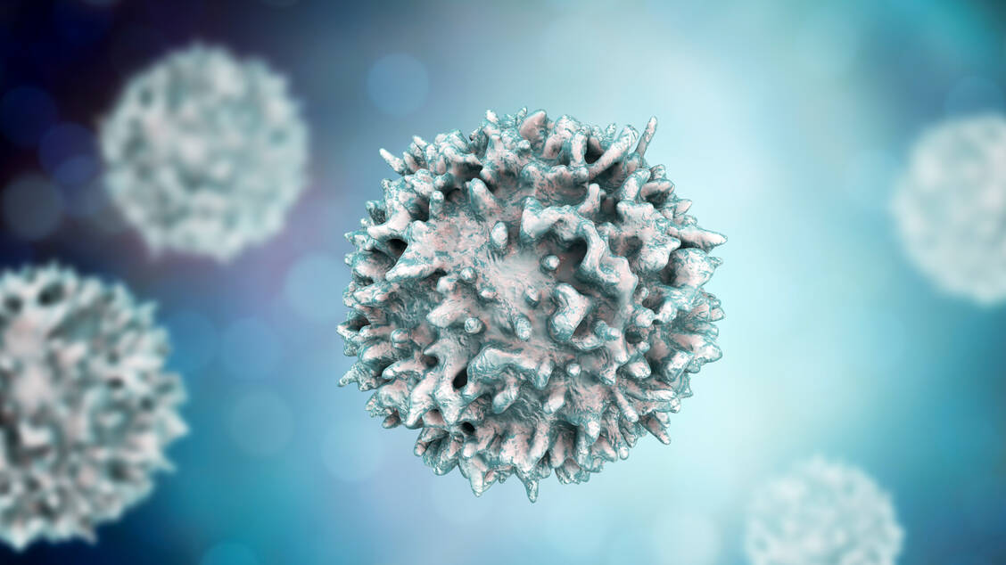 Menschliche T-Zellen, die gelernt haben, EBV-infizierte Zellen zu attackieren, stellen das therapeutische Agens von Tabelecleucel dar. / Foto: Getty Images/Dr_Microbe