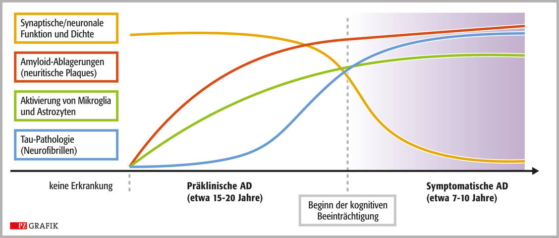 Abbildung 1: Pathologische und klinische Veränderungen im jahrzehntelangen Verlauf der Alzheimer-Demenz (AD); modifiziert nach: DOI 10.1016/j.cell.2019.09.001 / © PZ/Stephan Spitzer