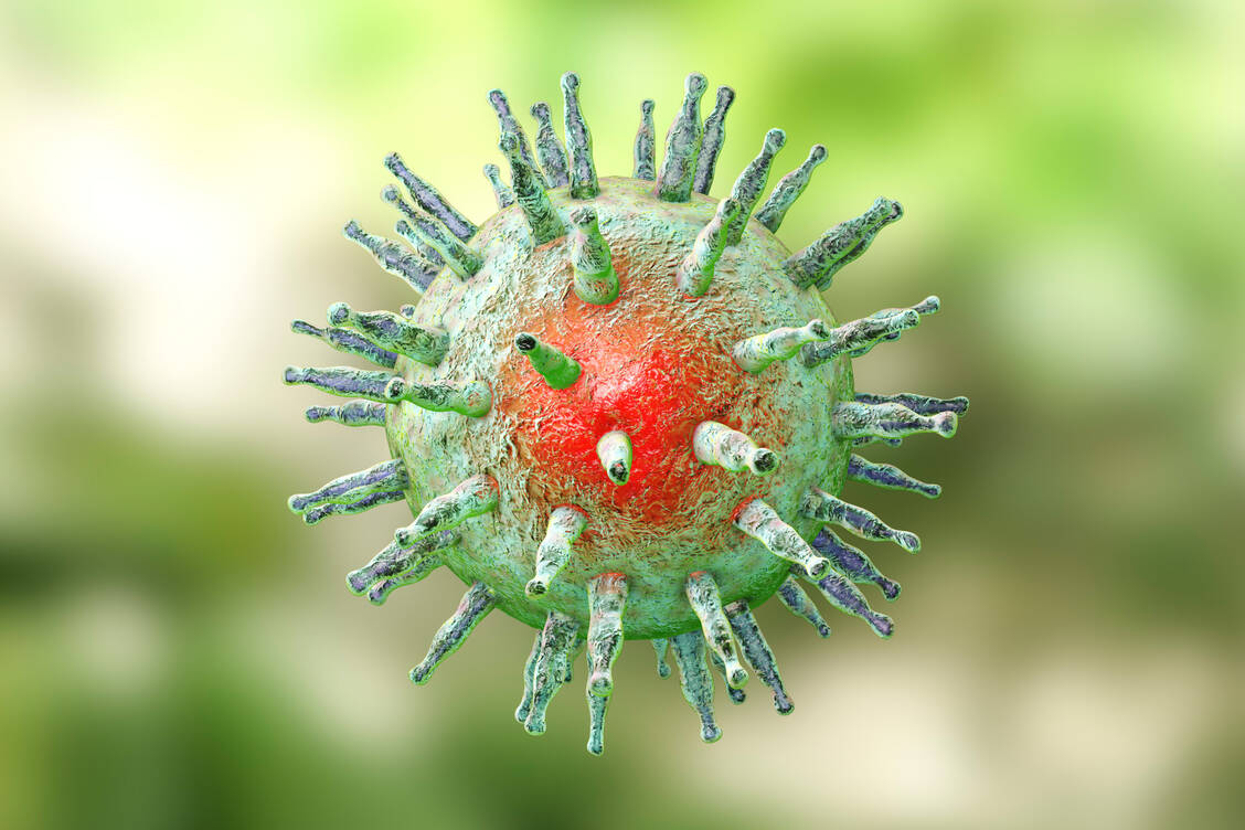 Die Erstinfektion mit Epstein-Barr-Virus verläuft meist unkompliziert – die Reaktivierung kann gravierendere Folgen haben.  / © Getty Images/Dr_Microbe