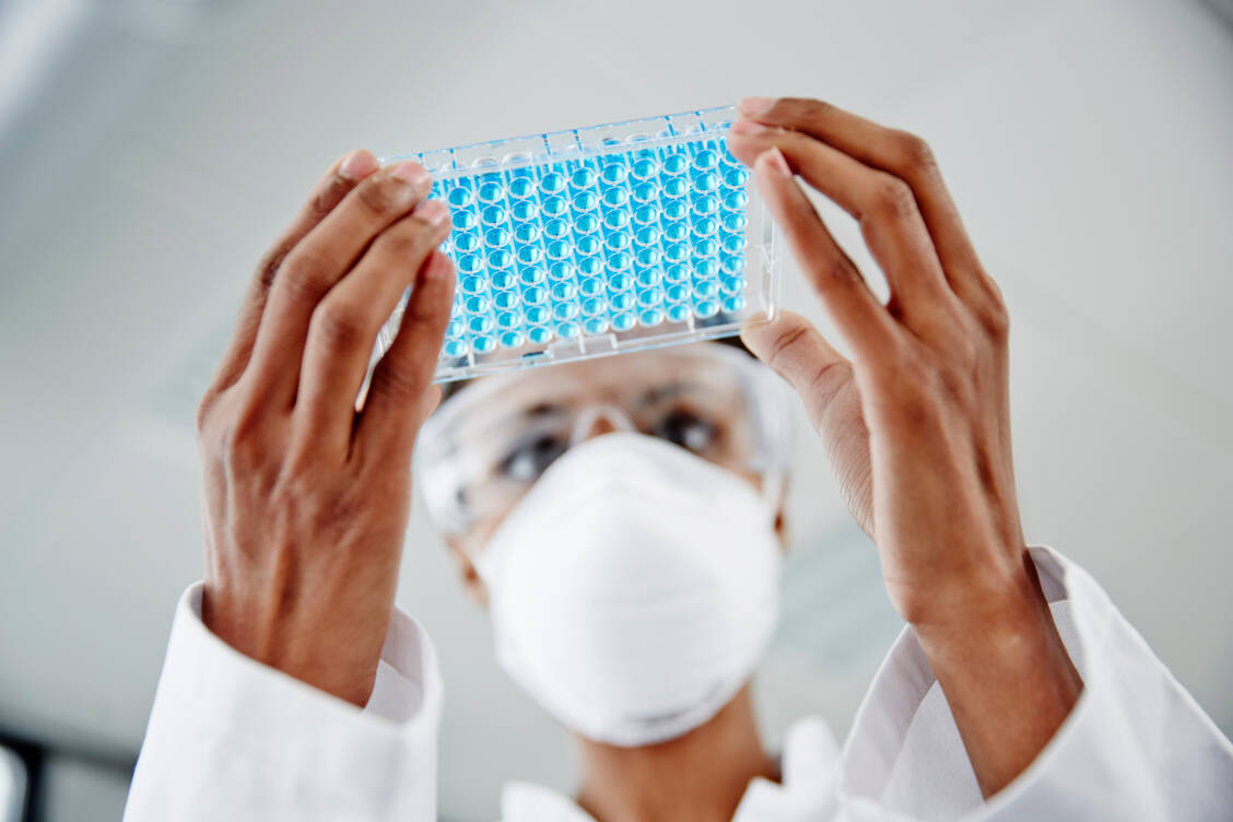 Bereits in der Präklinik muss verstärkt darauf geachtet werden, ob die Modelle sich wirklich für aussagekräftige Ergebnisse zur Wirksamkeit eines Arzneistoffkandidaten gegen SARS-CoV-2 eignen. / Foto: Getty Images/Thomas Tolstrup